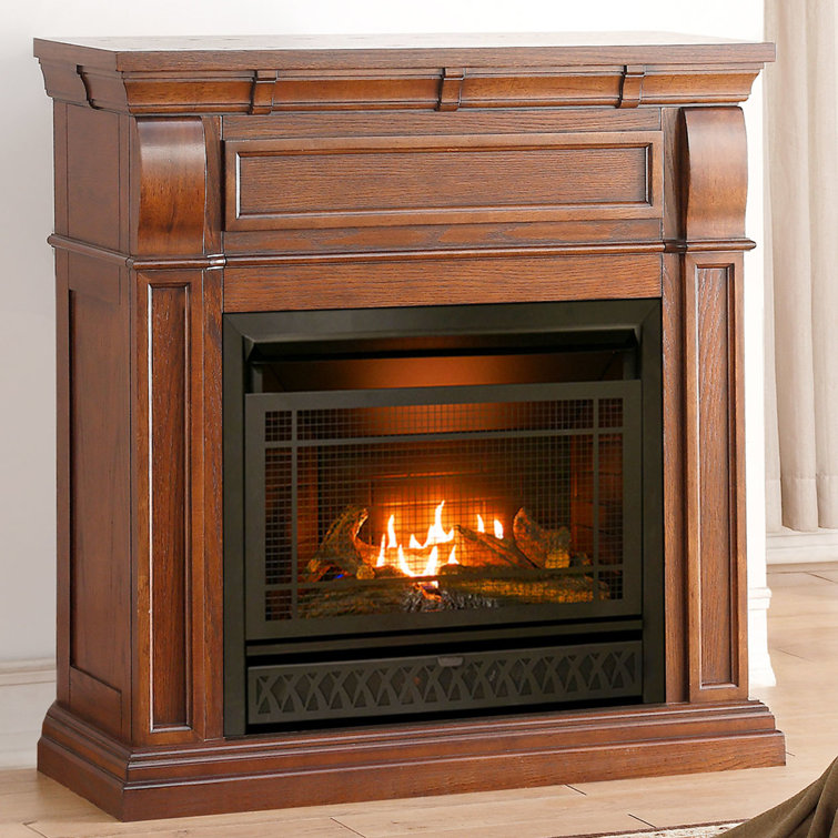 29.1'' W Ventless Fireplace Insert Wayfair